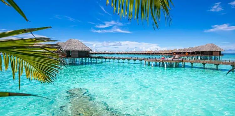 Куда поехать за экзотикой 6 Куда поехать за экзотикой 5 • Turistravel